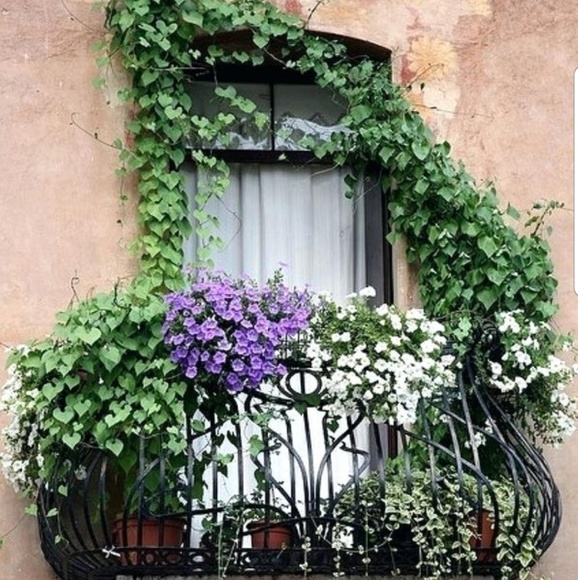 Meet your Posher, ATHENA - Picture 2 of 3